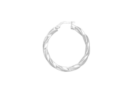 Rhodium Plated | Fashion Earrings